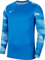 Nike Erkek Sweatshirt Dry Park Iv Sweatshirt