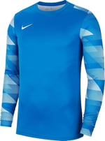 Nike Erkek Sweatshirt Dry Park Iv Sweatshirt