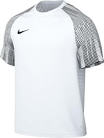 Nike Herren M Nk Df Academy JSY Ss Jersey