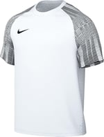 Nike Herren M Nk Df Academy JSY Ss Jersey