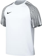 Nike Herren M Nk Df Academy JSY Ss Jersey