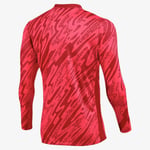Nike M Nk Df Gardien V Gk Jsy Ls Uzun kollu üst Erkekler