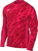 Nike M Nk Df Gardien V Gk Jsy Ls Uzun kollu üst Erkekler