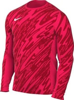 Nike M Nk Df Gardien V Gk Jsy Ls Uzun kollu üst Erkekler