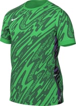 Nike M Nk Df Gardien V Gk Jsy Ss Kısa kollu üst Erkekler