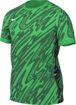 Nike M Nk Df Gardien V Gk Jsy Ss Kısa kollu üst Erkekler