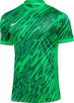 Nike M Nk Df Gardien V Gk Jsy Ss Kısa kollu üst Erkekler