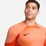 Nike M Nk Dfadv Gardien Iv Gk Jsyls Jarse Erkek - Bedenler: M, L, XL