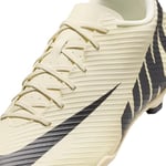 Nike Mercurial Vapor 15 Club Mg Düşük üst Erkek
