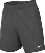 Nike Park 20 Erkek Kısa Pantolon