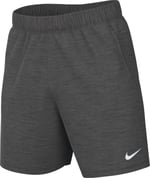 Nike Park 20 Erkek Kısa Pantolon