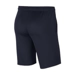 Nike Park 20 Knit Short Futbol şortu. Erkek