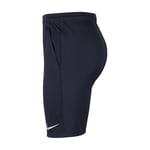 Nike Park 20 Knit Short Futbol şortu. Erkek