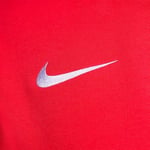 Nike Team Club 20 Hoodie kapüşonlu kazak Erkek