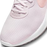 Nike W Nike Revolution 6 Nn Koşu Ayakkabısı Kadın