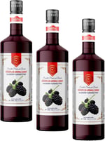 Nish Böğürtlen Aromalı Şurup 700 ML - P