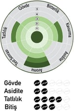 Nish Filtre Kahve Brazil 80 gr