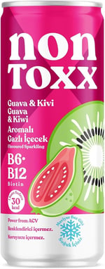 NONTOXX Guava Kivi Sirkeli Gazlı İçecek 250 ml