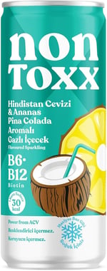 NONTOXX Hindistan Cevizi Ananas Sirkeli Gazlı İçecek 250 ml