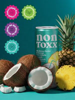 NONTOXX Hindistan Cevizi Ananas Sirkeli Gazlı İçecek 250 ml