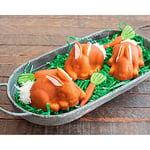 Nordic Ware kek kalıbı, Pasta kalıbı – Paskalya Tavşanı, alüminyum, kahverengi, 7,6 x 30,5 x 30,5 cm, 1 birim