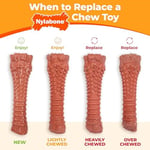 Nylabone 982904 Dura Power Chew, kemik şeklinde, pastırma ve tavuk aromalı ikili paket, büyük köpekler için (23 kg'a kadar), L - Seçenekler: M - (bis 16 kg), L - (bis 23 kg)