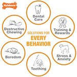 Nylabone Domuz Pastırması Aromalı Köpek Çiğneme Kemiği XS - Bedenler: XS, XL