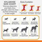 Nylabone Domuz Pastırması Aromalı Köpek Çiğneme Kemiği XS - Bedenler: XS, XL