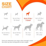 Nylabone Ec Domuz Pastırması Aromalı Köpek Çiğneme Kemiği XS - Seçenekler: Bacon/Bone, Beef Jerky & Chicken, Pastırma ve Biftek, Tavuk...