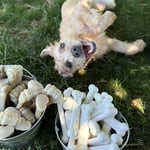 Nylabone Ec Tavuk Aromalı Köpek Çiğneme Kemiği M