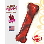 Nylabone Lezzet Frenzy Güç Çiğnemek Köpek Oyuncak, Düzenli, Sığır Eti, ABD'de yapılan - Bedenler: XS, S, M, L, XL
