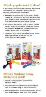 Nylabone Tavuk Aromalı Yavru Köpek Başlangıç Kiti S