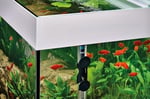 Oase Heatup 150W Akvaryum Isıtıcı