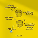 Ocean Omega 3 Limon Aromalı 150 ml Şurup