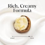 Olay, Ultra Nem Shea Tereyağı Vücut Yıkama Sıvısı Ounce, 22 Fl Oz