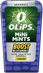 Olips Mini Mints Nane Limon Aromalı Şekerleme 12,5 gr 12 Adet