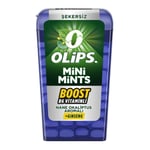 Olips Mini Mints Nane Limon Aromalı Şekerleme 12,5 gr 12 Adet