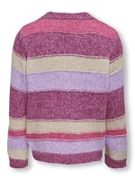 Only Kız Çocuk Bilinmeyen Kazak Kogelaine L/s O-neck Knt
