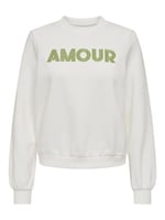 ONLY ONLANA L/S EMBROIDERY O-NECK BOX SWT Sweatshirt Kadın