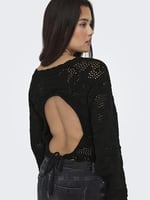 ONLY ONLCILLE LIFE LS BACK DTL ONECK CC KNT Kazak Kadın