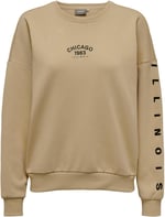 ONLY ONLMATHILDA L/S O-NECK BOX SWT Sweatshirt Kadın