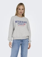 ONLY ONLTERESA L/S O-NECK SWT Sweatshirt Kadın