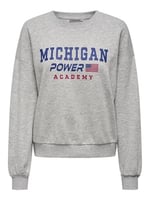 ONLY ONLTERESA L/S O-NECK SWT Sweatshirt Kadın