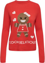 ONLY ONLXMAS COOKIES LS O-NECK BOX KNT Triko Kadın