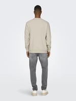 Only & Sons Düz Yaka Ekru Sweatshirt, 22030923