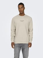 Only & Sons Düz Yaka Ekru Sweatshirt, 22030923