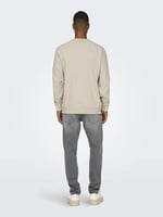 Only & Sons Düz Yaka Ekru Sweatshirt, 22030923