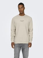 Only & Sons Düz Yaka Ekru Sweatshirt, 22030923