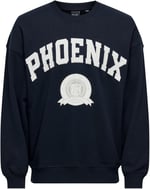 Only & Sons ONSLAWSON LIFE VINTAGE CREW NECK SWEAT Sweatshirt Erkek