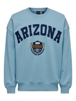 Only & Sons ONSLAWSON LIFE VINTAGE CREW NECK SWEAT Sweatshirt Erkek